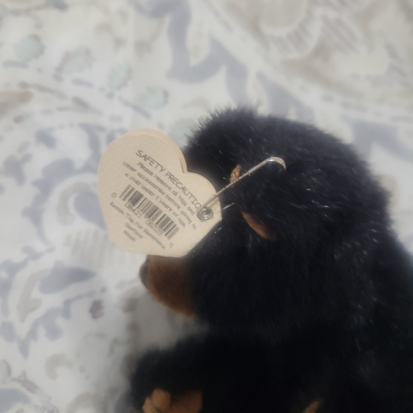 Beanie bear - Picture 3 of 3